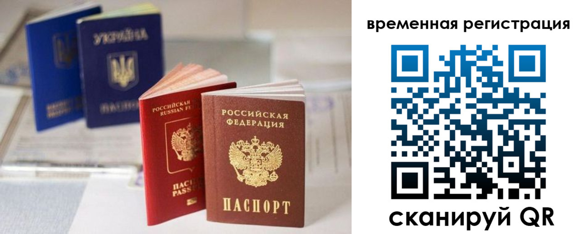 прописка поиск в Тайге